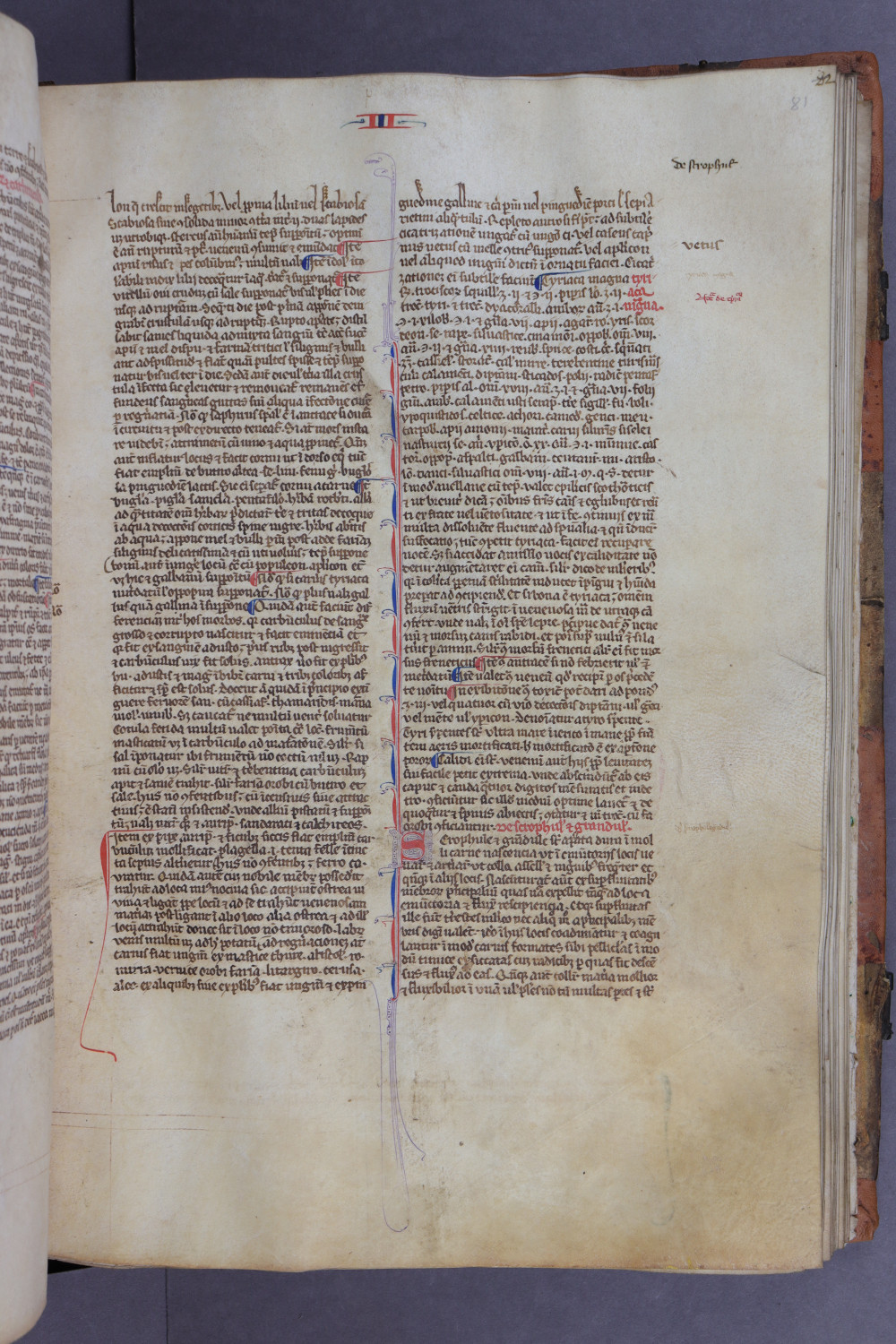 Folio 81 recto